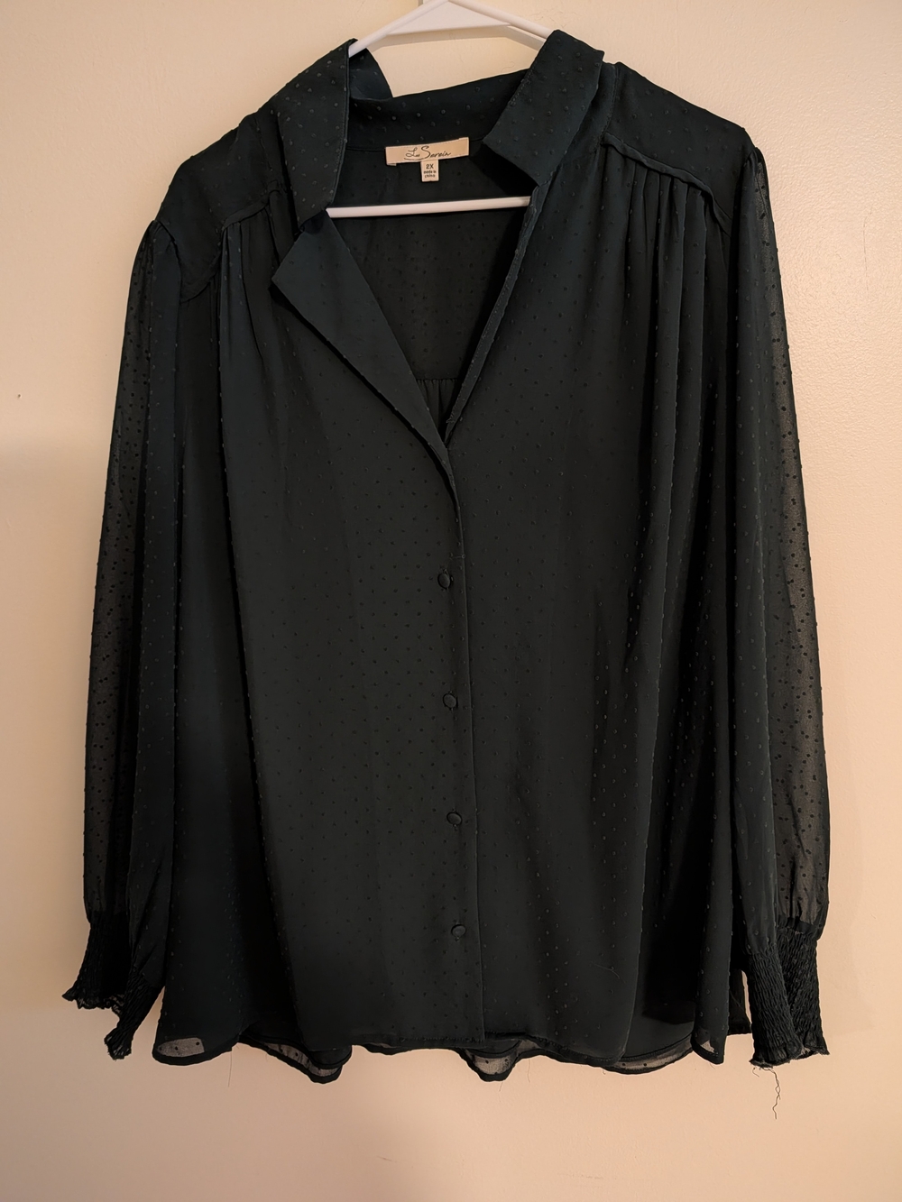 Les Serein Dark Green Sheer Dot-Texture Button-Down Blouse